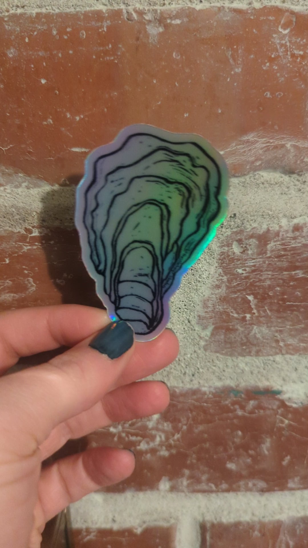Oyster Shell Sticker - Die Cut Holographic