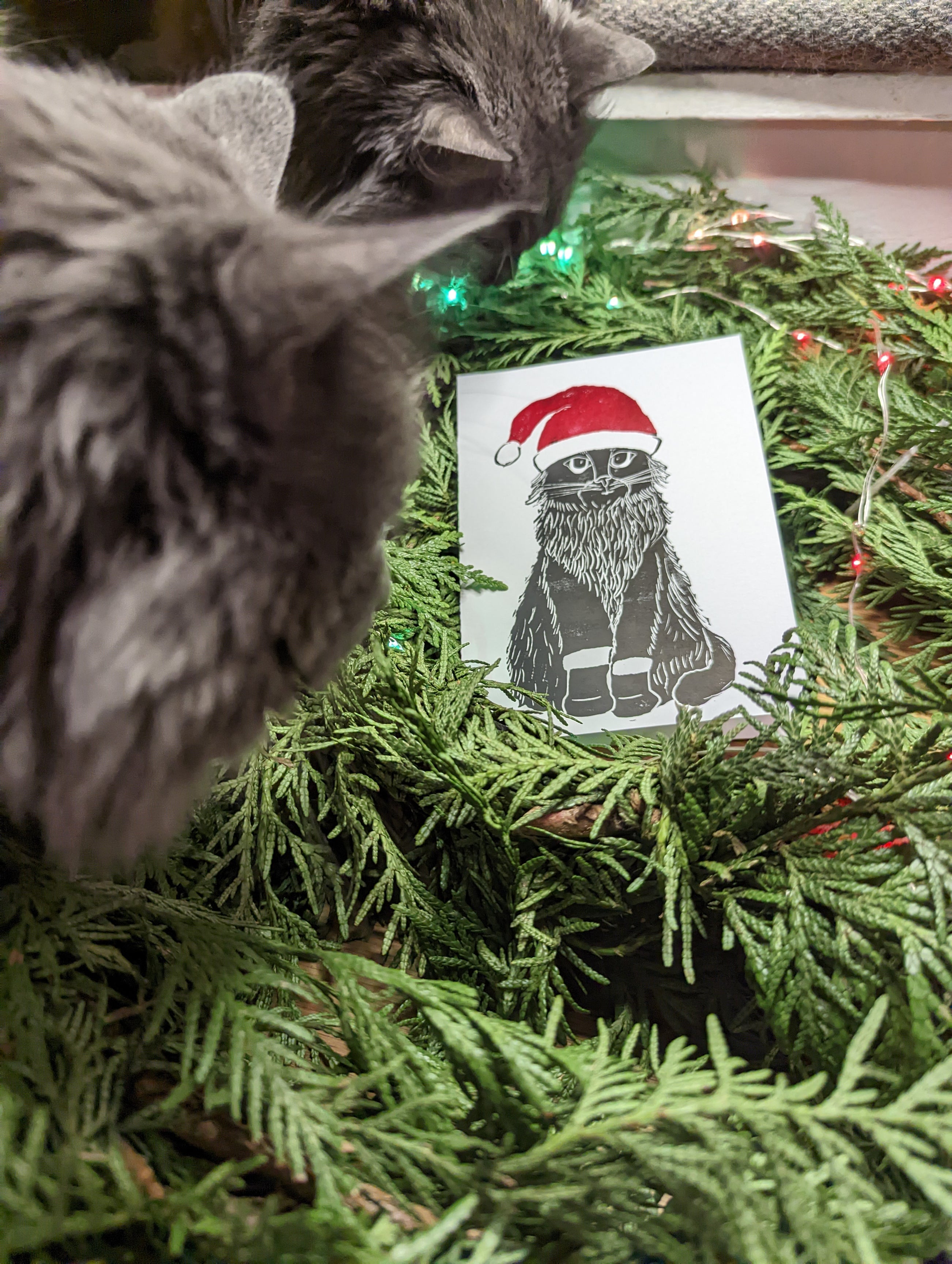 Santa Cat Greeting Card