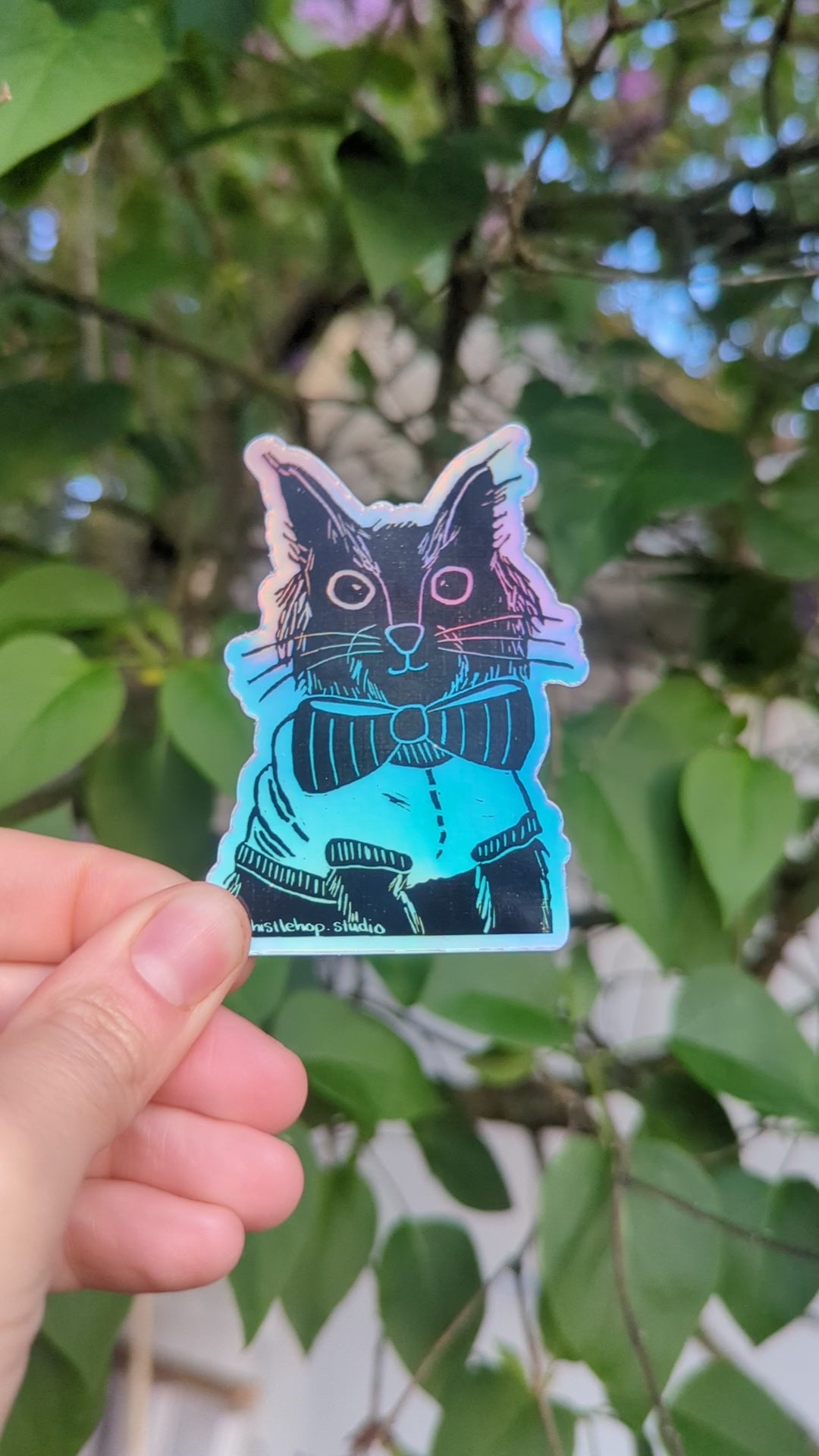 Picture Day Kitty Sticker - Die Cut Holographic